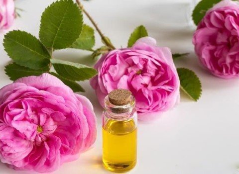 تصویر 2 از فروش صادراتی اسانس خوراکی گل محمدی طبیعی گرید A