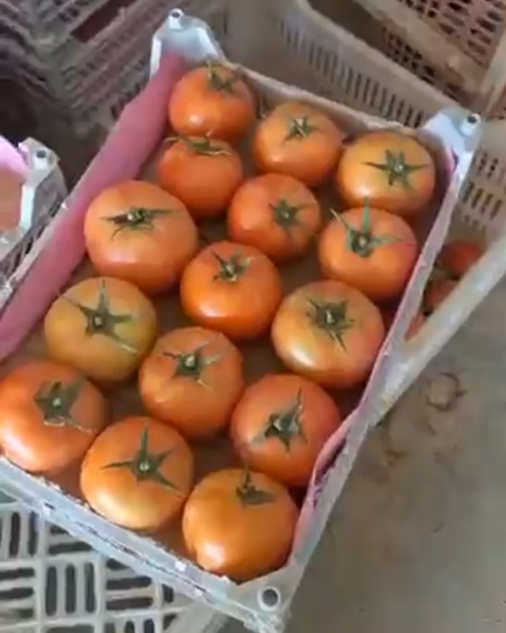 رب گوجه فرنگی زیر با غلظت مناسب و طعمی طبیعی