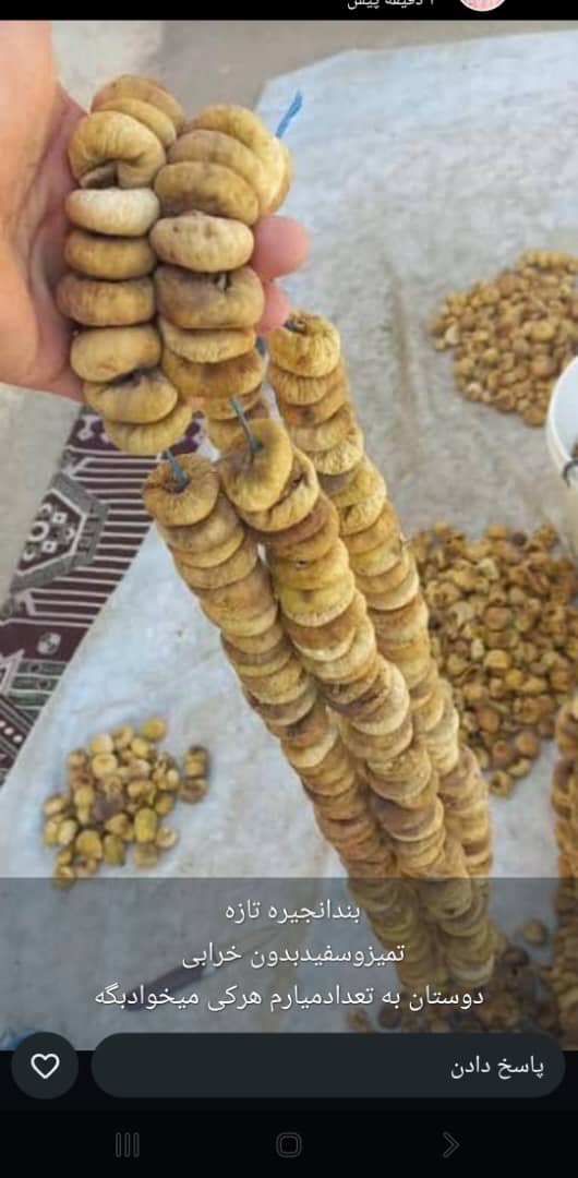 تصویر 2 از لیست خرید انجیر خشک آردی + قیمت فروش
