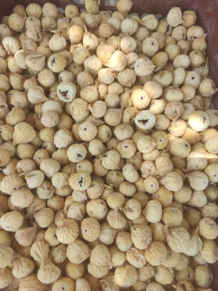 لیست خرید انجیرخشک آفتابی