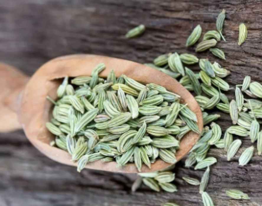 فروش فوق العاده زیره سبز صادراتی ارسال سریع