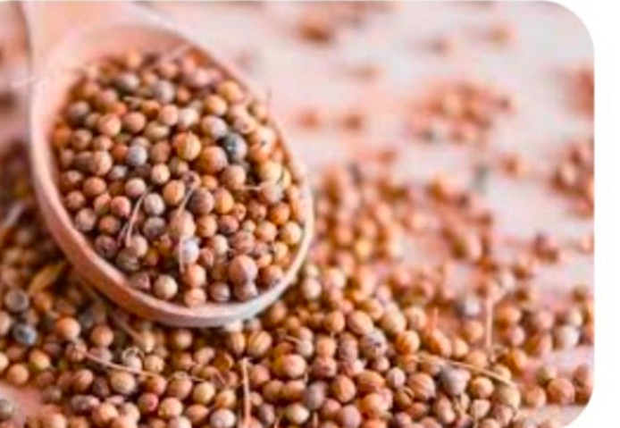 تصویر 1 از خرید دانه گشنیز + استفاده در مصارف چاشنی ها