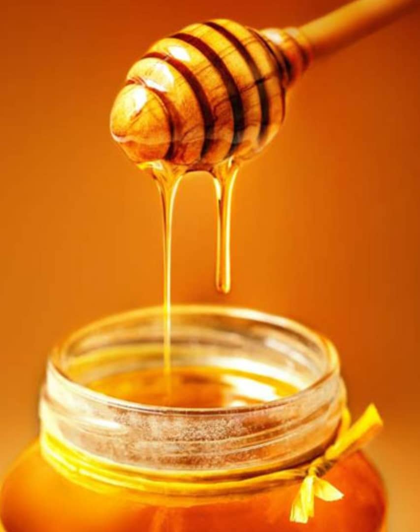 تصویر 1 از قیمت فروش ویژه عسل عناب + خرید