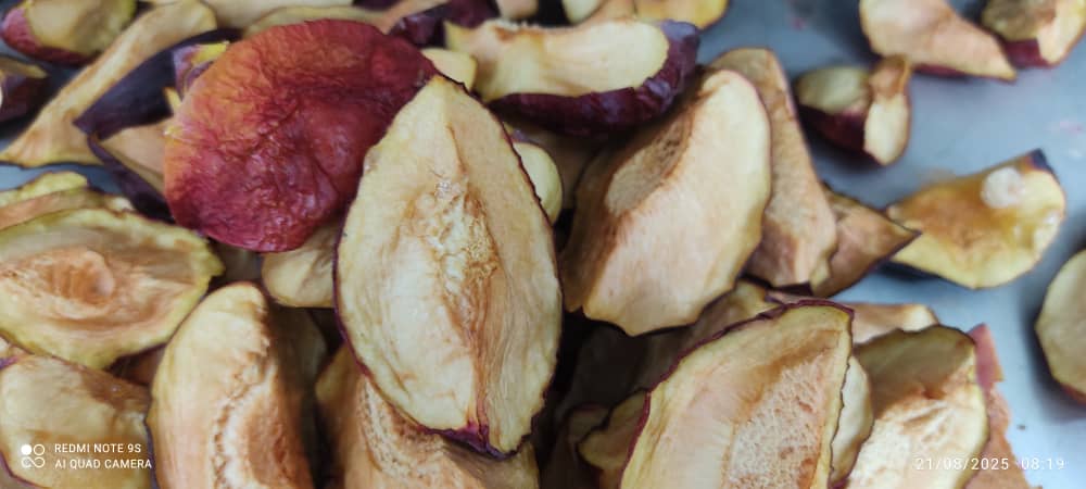 تصویر 2 از قیمت تولید آلو خشک پفکی + تولید شده به روش انجمادی