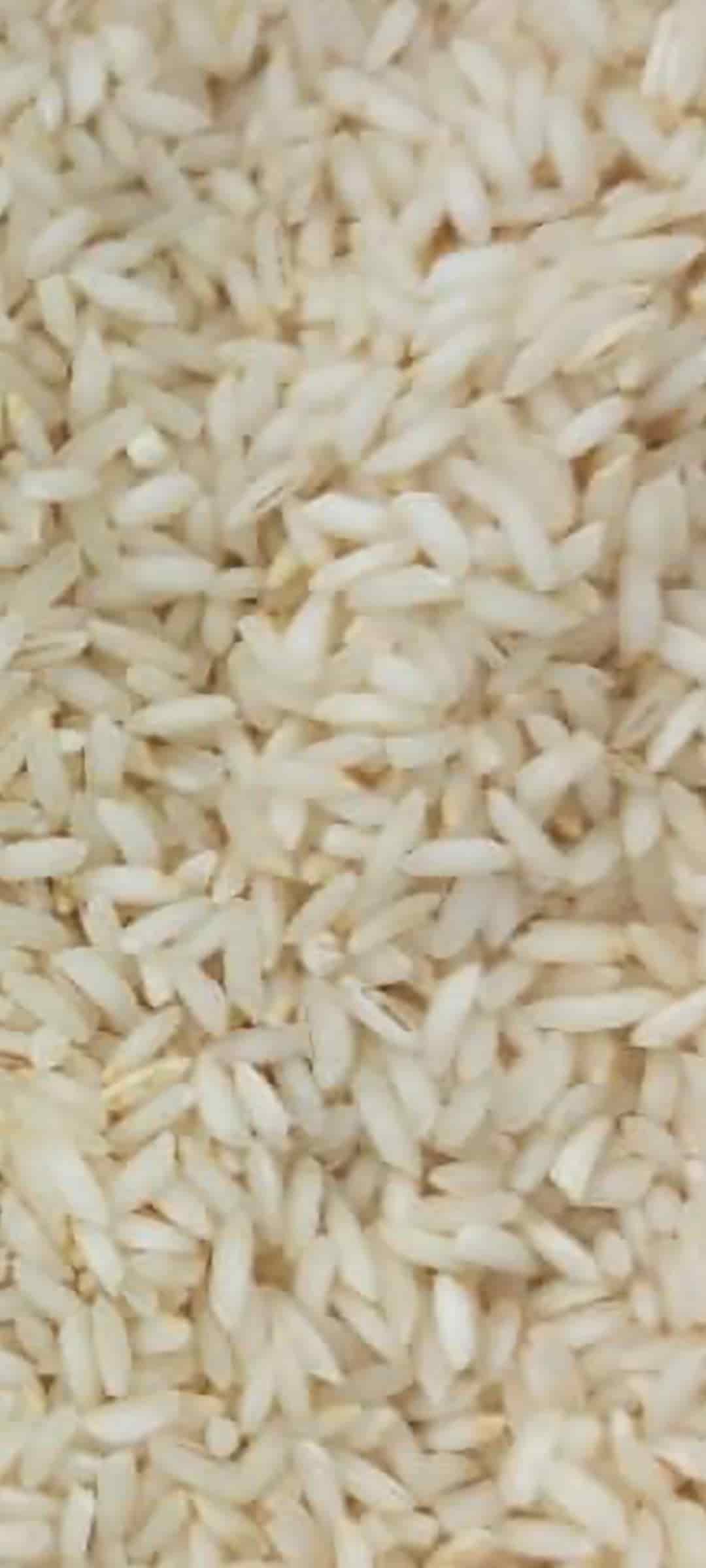 تصویر 4 از قیمت خرید برنج محلی عنبر بو ارگانیک درجه یک میان آب