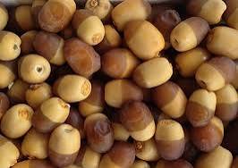 خرما خارک شاهانی