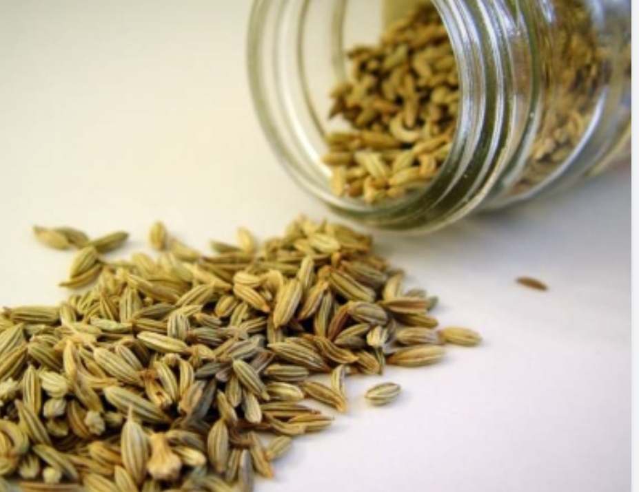 زیره سبز صادراتی کرمان شرایط استثنایی