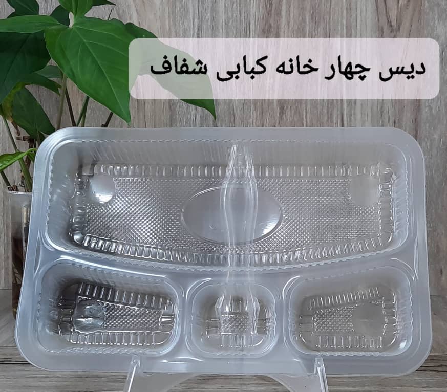 تصویر 5 از ظرف یکبار مصرف چهار خونه کبابی