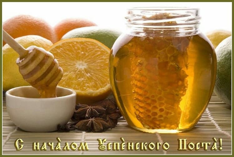 تصویر 1 از خرید عمده اینترنتی عسل کندو هانیوا + قیمت مناسب
