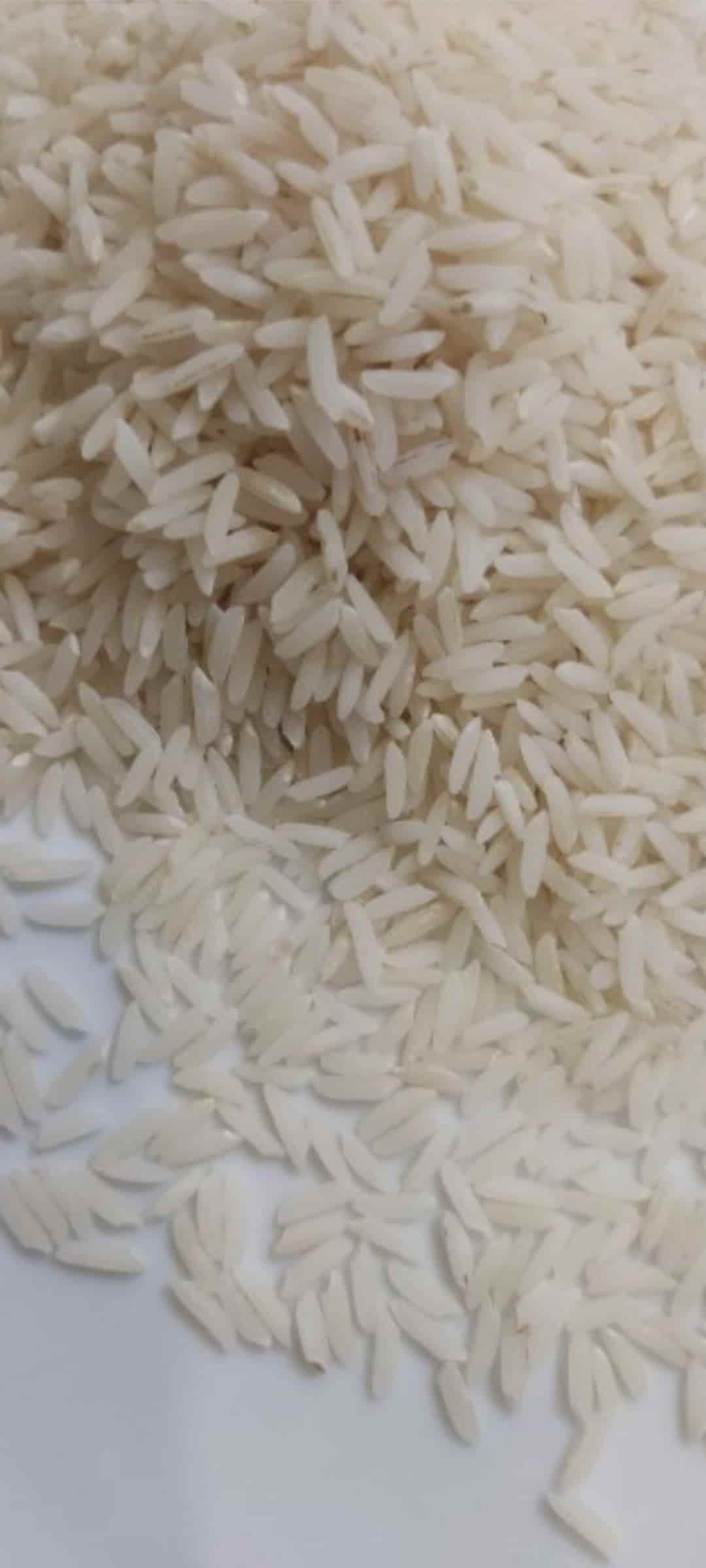 تصویر 1 از فی برنج پاکستانی ۳۸۶ طاها سیلا