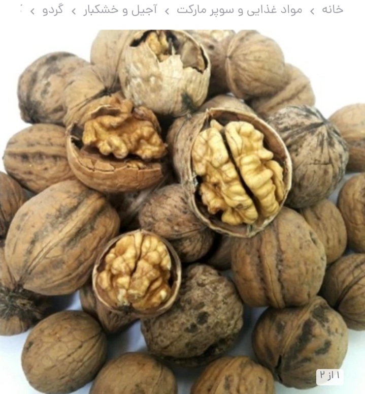 تصویر 2 از خرید عمده گردوی شبستر با پوست تازه شکننده + خرید عمده و خرده برای تجارت داخلی