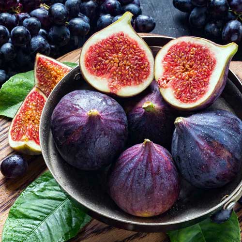 تصویر 2 از فروش انجیر خشک قرمز درجه یک + قیمت روز