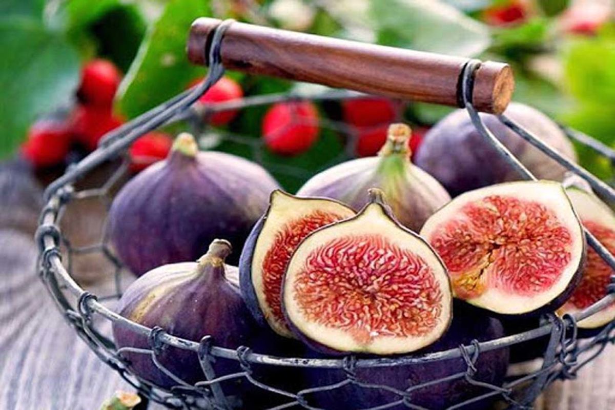 تصویر 1 از فروش انجیر خشک قرمز درجه یک + قیمت روز