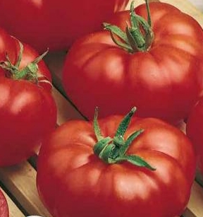 تصویر 2 از رب گوجه‌ فرنگی اسپتیک صادرات به ترکیه + کوتاه ترین زمان