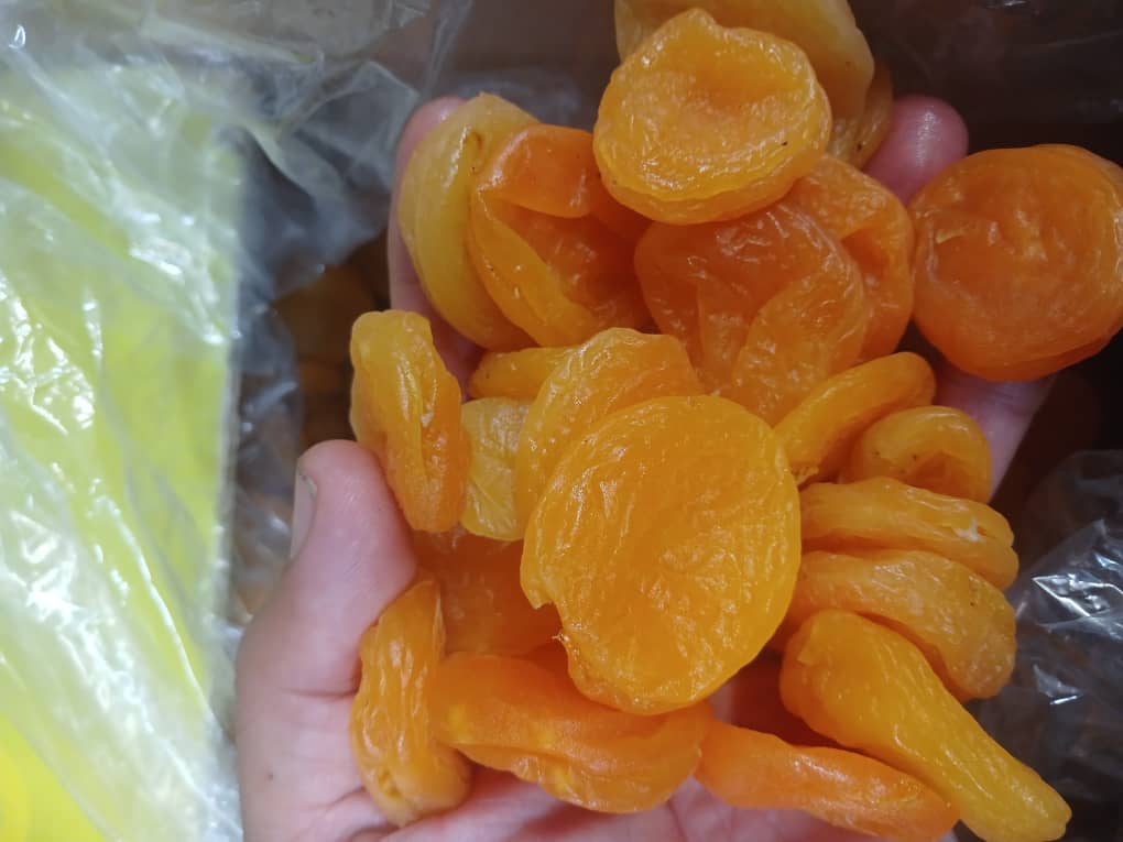 تصویر 2 از قیسی زردآلو خشک + خرید
