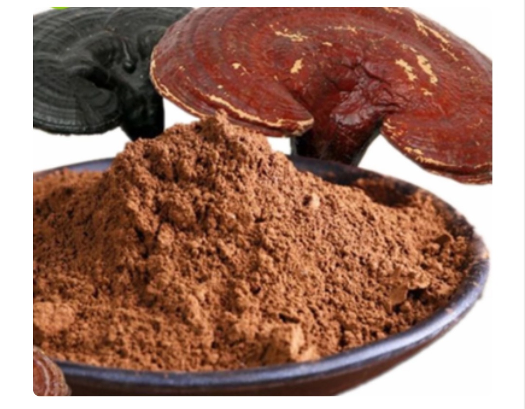 قارچ گانودرما