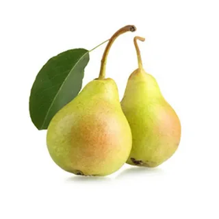 میوه گلابی