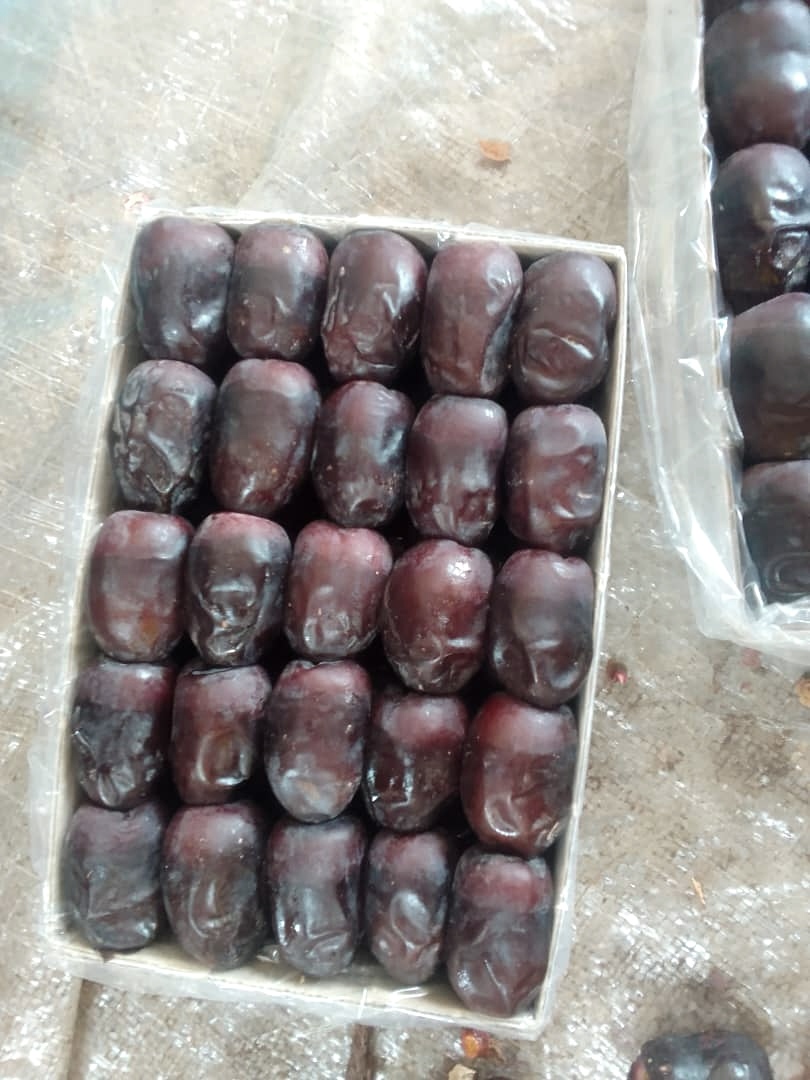 تصویر 2 از خرید خرما مضافتی لوکس بلوچستان + قیمت فوق العاده