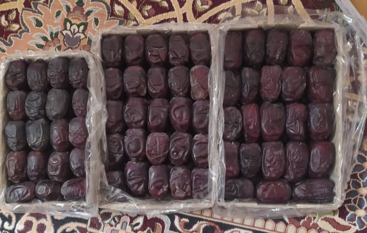 تصویر 1 از خرید خرما مضافتی لوکس بلوچستان + قیمت فوق العاده