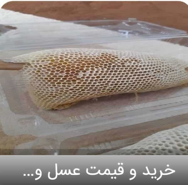 تصویر 3 از فروش عسل وحشی هانیوا با شرایط استثنایی