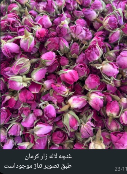 قیمت عمده غنچه گل محمدی خشک + خرید به صرفه و مطمئن
