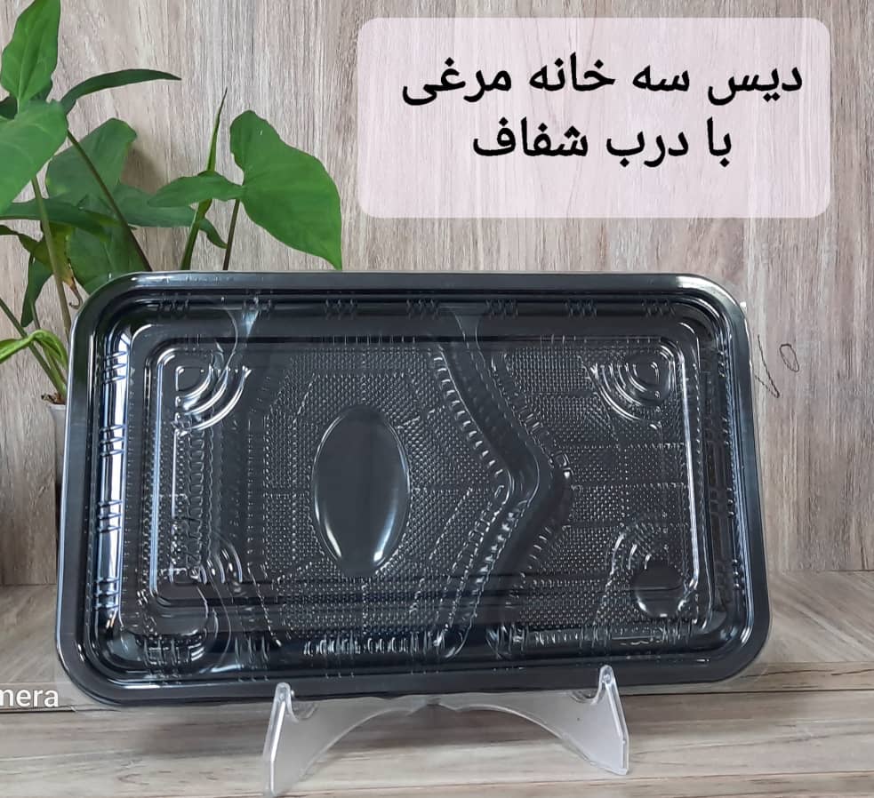 تصویر 2 از دیس یکبار مصرف چهار خانه کبابی + فروش ویژه