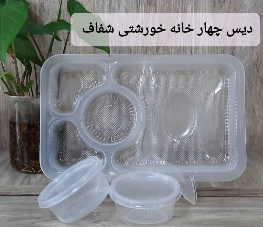 تصویر 3 از دیس یکبار مصرف چهار خانه کبابی + فروش ویژه