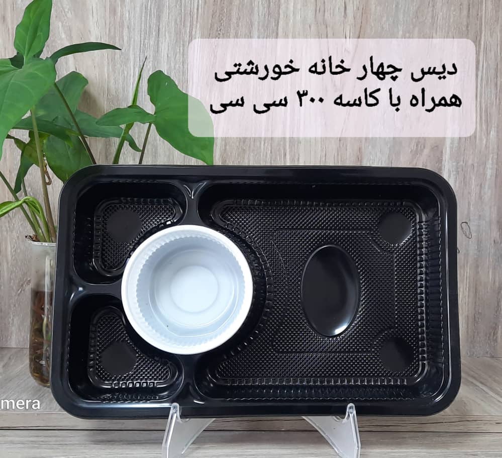 تصویر 1 از دیس یکبار مصرف چهار خانه کبابی + فروش ویژه