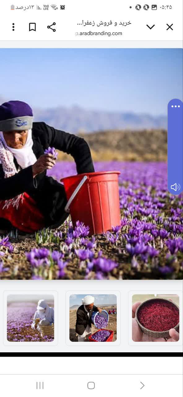 تصویر 3 از خرید زعفران اعلا و صادراتی بهسود