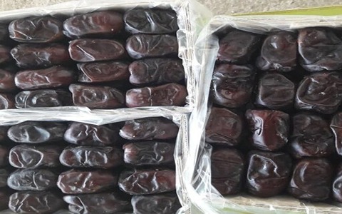 تصویر 1 از خرما مضافتی عمده + خرید