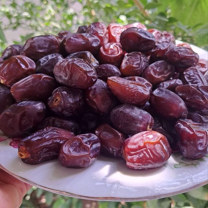 تصویر 1 از فروش خرما خنیزی درشت و یکدست