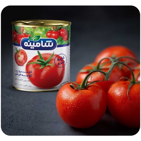 تصویر 5 از رب گوجه فرنگی ممتاز + فروش عمده و صادراتی با طعم بی‌ نظیر