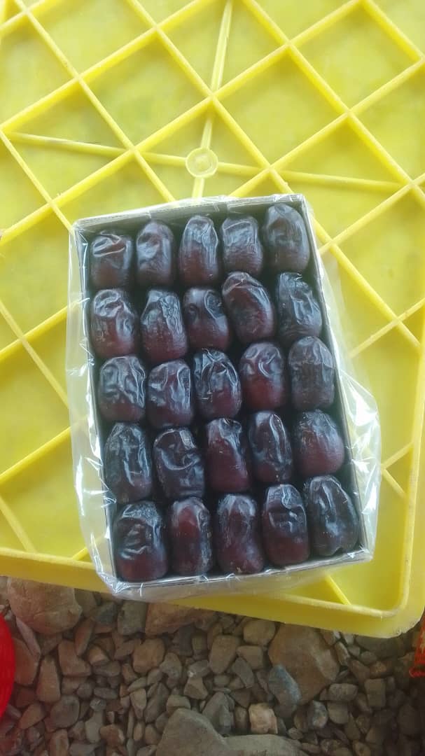 تصویر 1 از خرمای رطب مضافتی تازه هفت کیلویی سالم و مرغوب