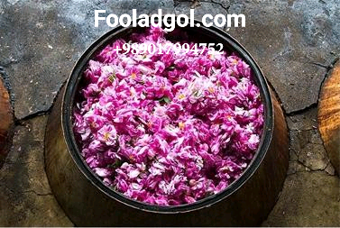 صادرات گلاب اصل داراب با شرکت فولاد گل + قیمت خرید