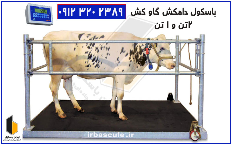 باسکول دام کش دیجیتال جدید با دقت ۱۰۰ گرم