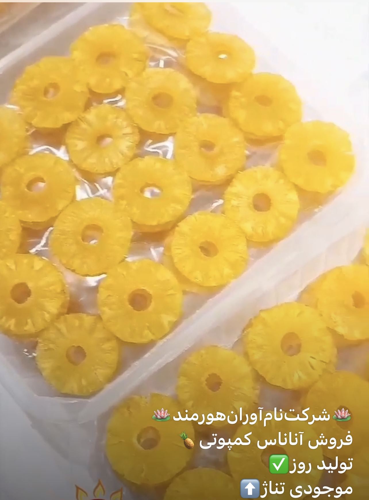 خرید عمده و جزئی آناناس کمپوتی کرشمه