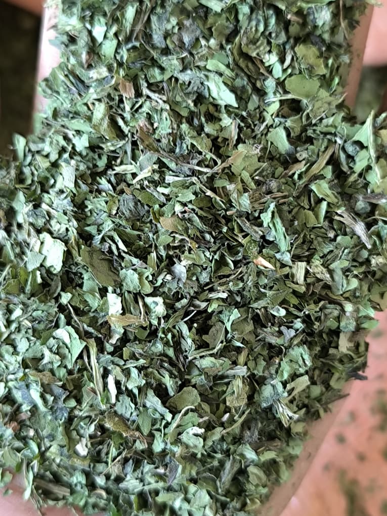 برگ چغندر سبز خشک + خریدی هوشمندانه
