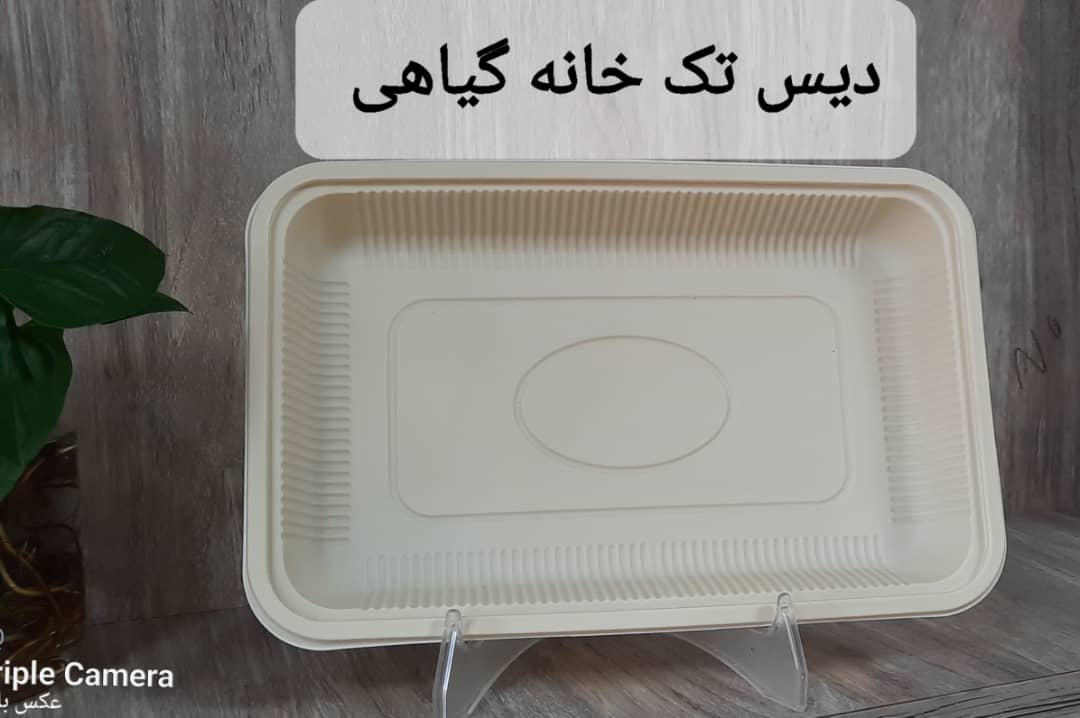 تصویر 3 از دیس یکبار مصرف بیضی گیاهی