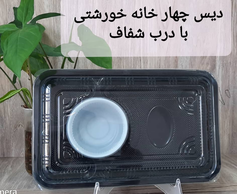 تصویر 2 از دیس یکبار مصرف بیضی گیاهی