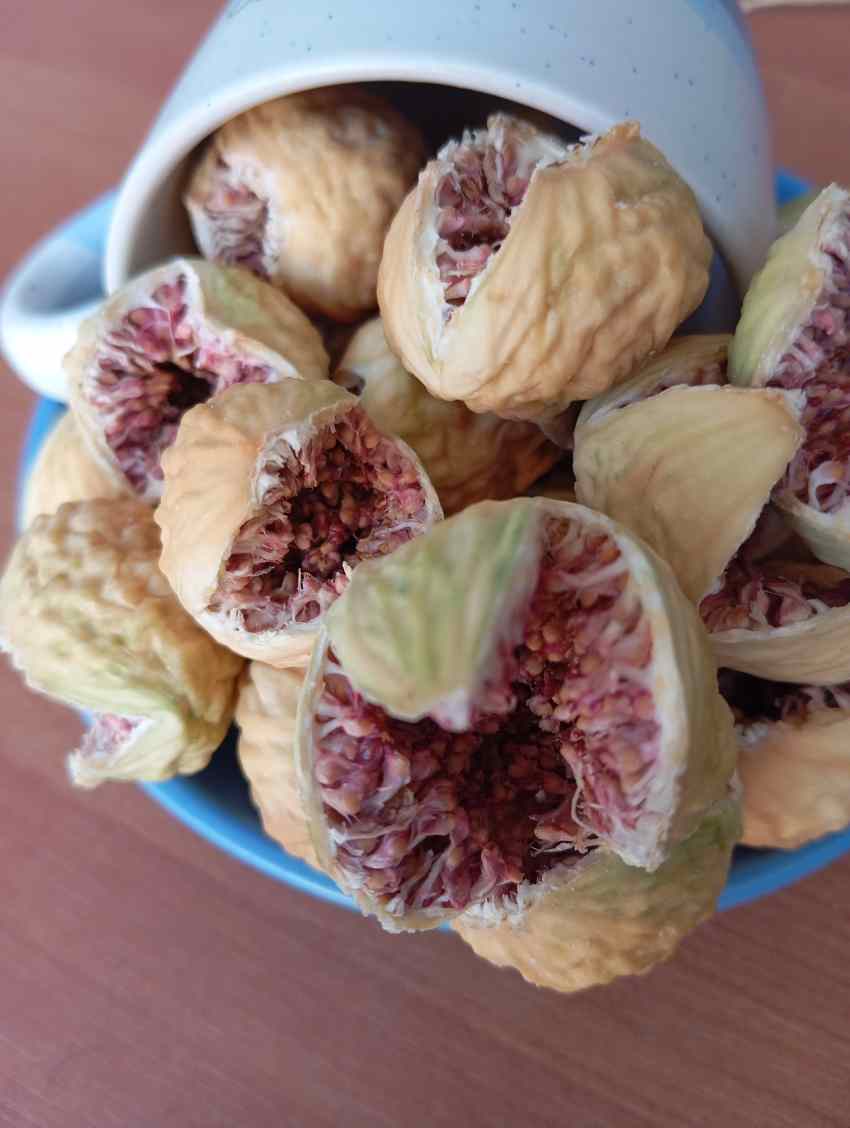 تصویر 2 از فروش ویژه انجیر ۱۰۱ و پرک استهبان