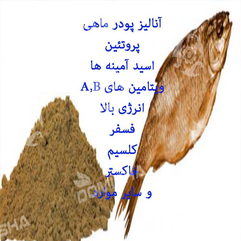 خرید پودر ماهی + ارزان ترین قیمت درب کارخانه