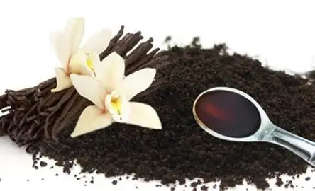 کلوچه وانیلی