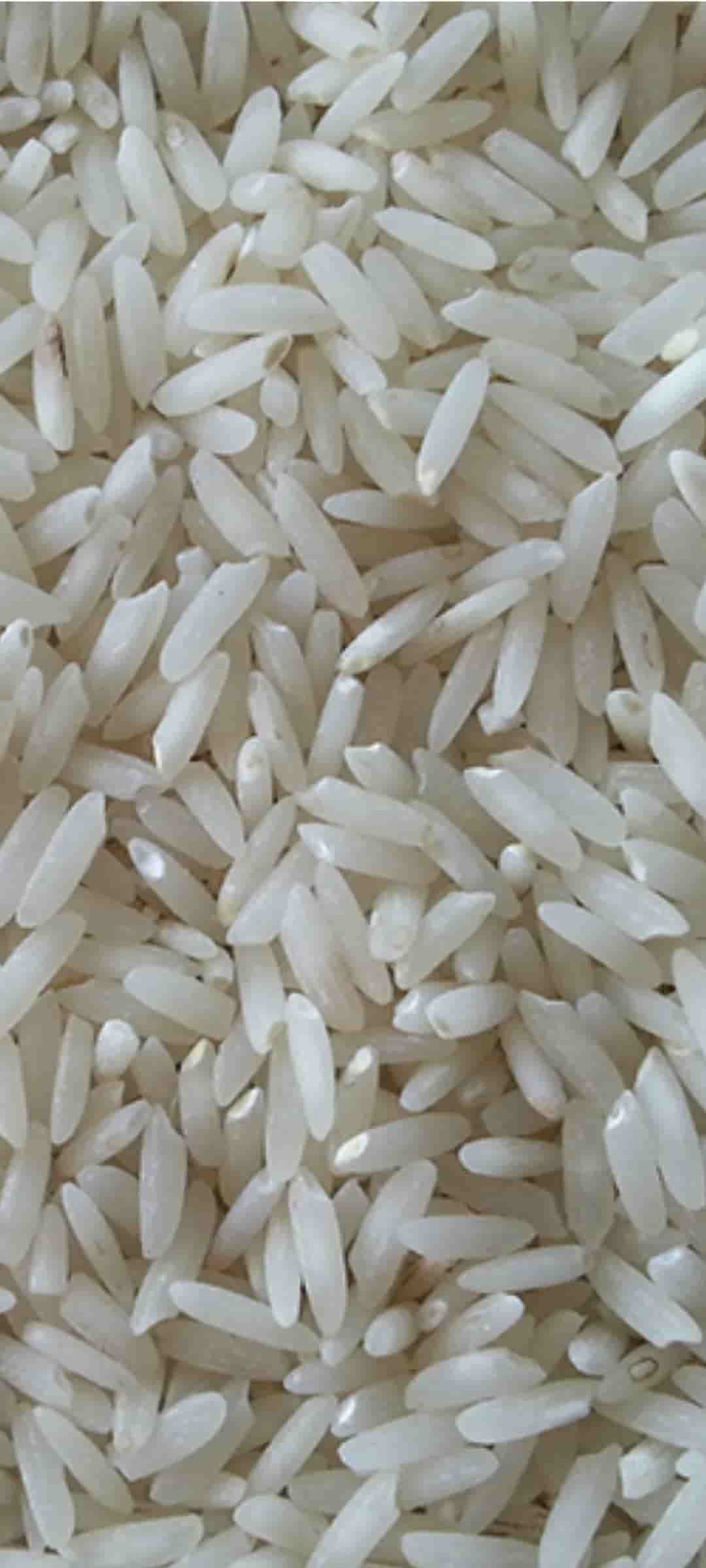 تصویر 5 از قیمت خرید برنج طارم هاشمی اصل
