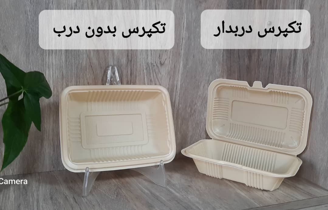 تصویر 4 از دیس یکبار مصرف دو خانه گیاهی مخصوص کباب + خرید