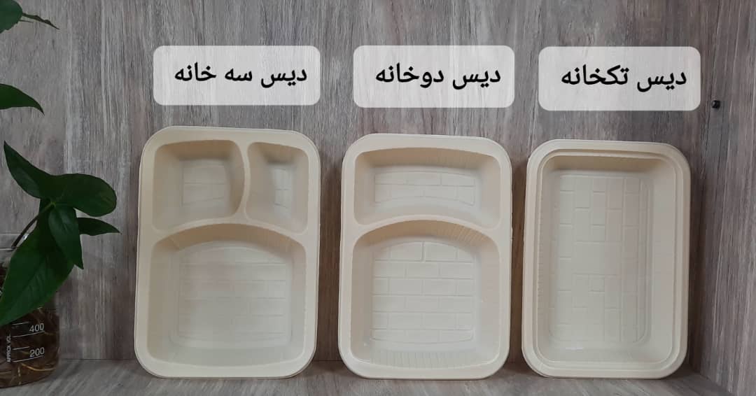 تصویر 2 از دیس یکبار مصرف دو خانه گیاهی مخصوص کباب + خرید