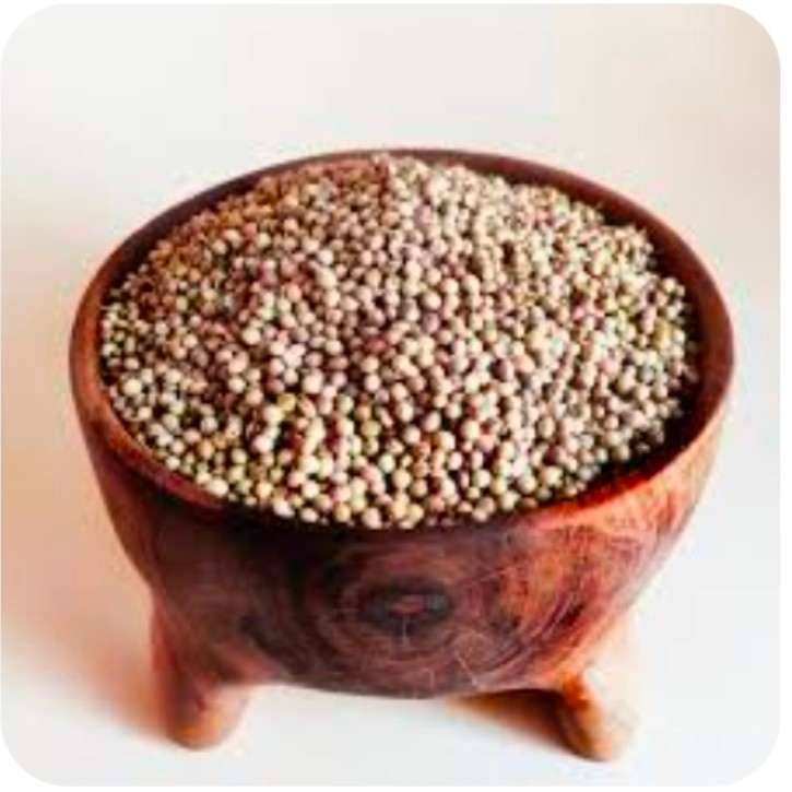 تصویر 1 از خرید بذر گشنیز آناهیتا + مملو از خواص درمانی و مغذی
