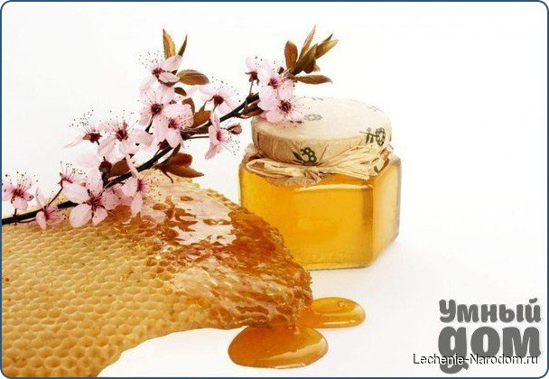 تصویر 5 از فروش ارزان عسل گل هانیوا + قیمت رقابتی