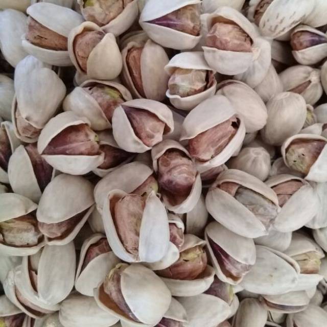 فروش عمده پسته کله قوچی + کیفیت ممتاز