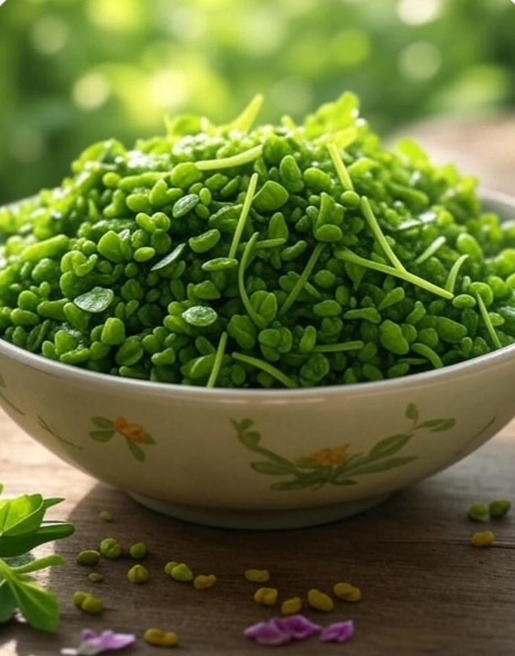 تصویر 2 از فروش ویژه شنبلیله خشک + قیمت خرید عمده