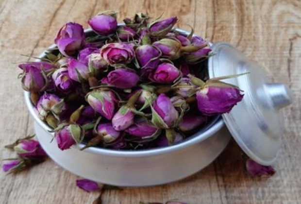 لیست قیمت غنچه گل محمدی + خرید به صرفه و مطمئن